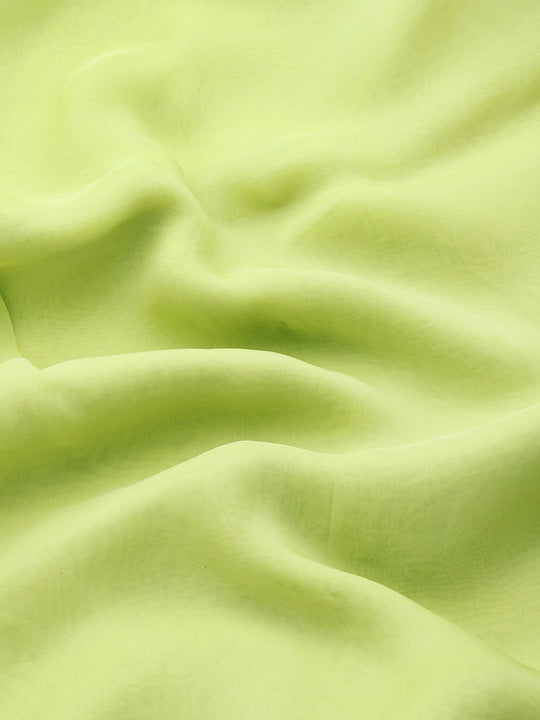 ombre sarees, chikankari sarees, chikan border, zari sarees, party wear sarees, party wear sarees, organza sarees, chicken, chickenkari, chicken saree, lucknowi chikankari saree, saree