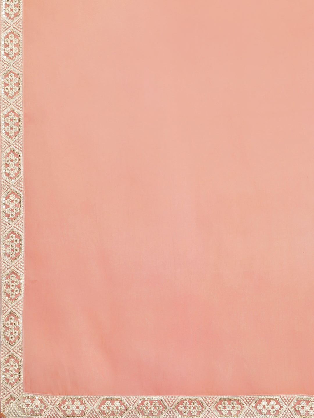 pure organza sarees, organza sarees, party wear sarees, elegant simple sarees, parent teacher meeting sarees, bordered sarees, party wear sarees, organza sarees, chicken, chickenkari, chicken saree, lucknowi chikankari saree, saree